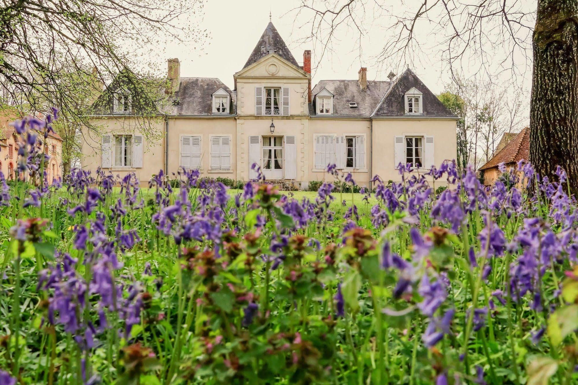 Domaine De Chatenay - Le Mans Saint-Saturnin  Exterior photo